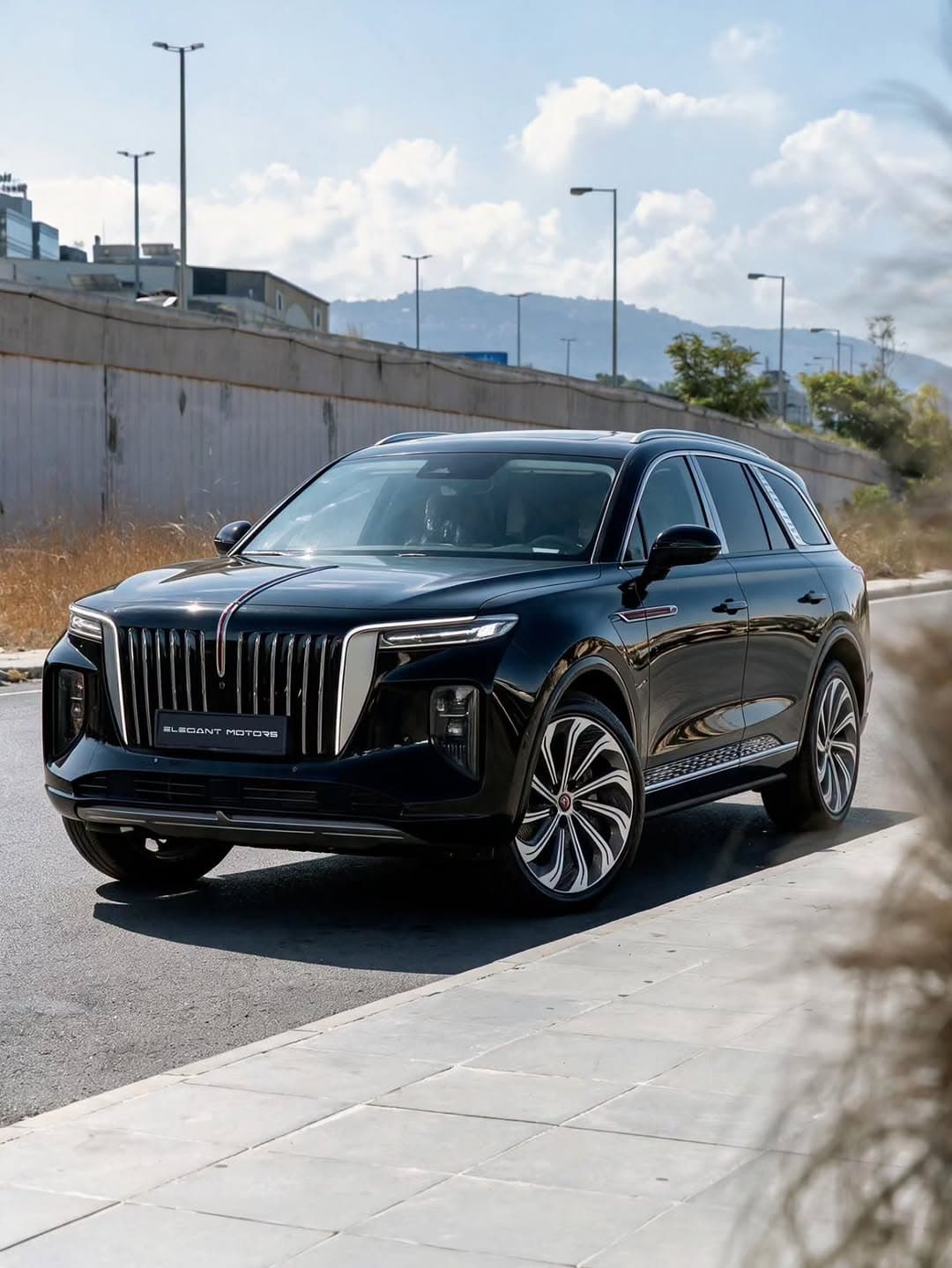 Hongqi E-HS9